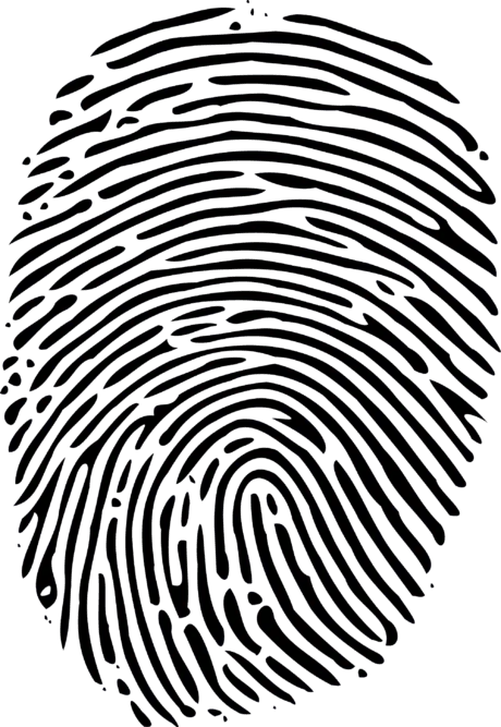 Forexify screenshot 2