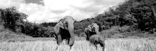 PostgreSQL screenshot 1