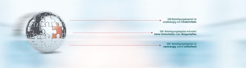 SIB Innovations screenshot 1