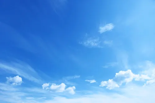 Track1099 screenshot 2