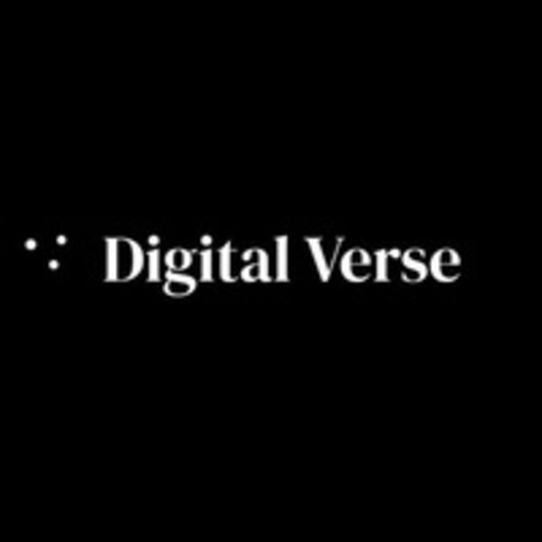 DigitalVerse logo