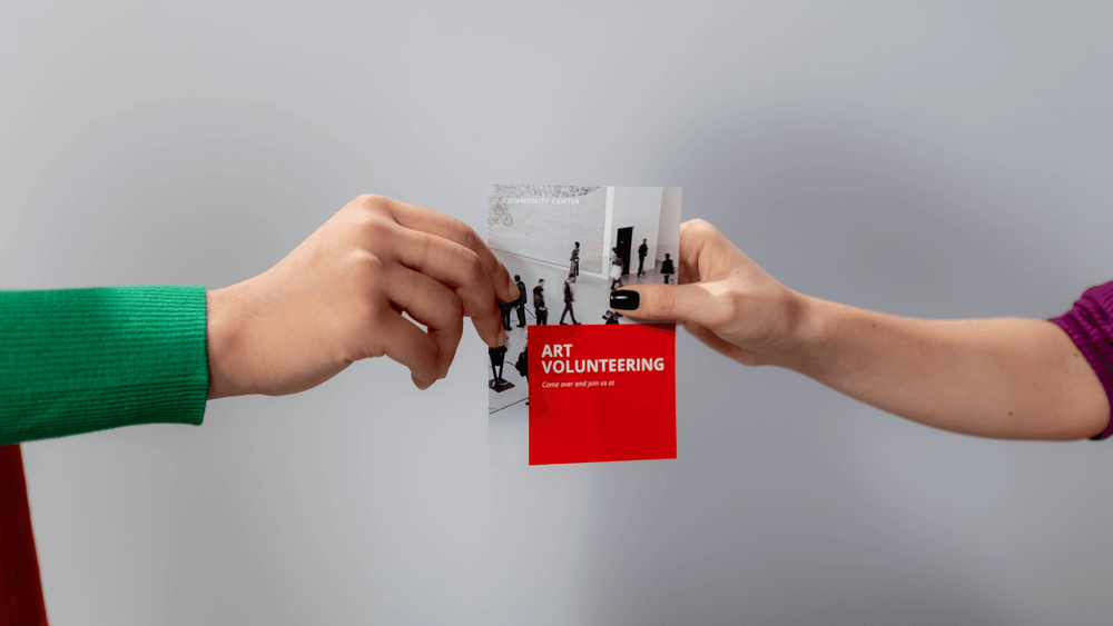 Cheetah distribution - Leaflet Distribution Sheffield cover