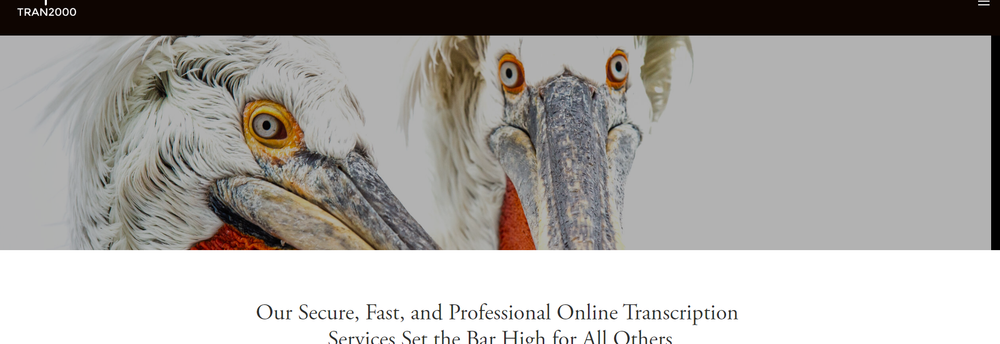 A Transcription 2000 Services Inc cover
