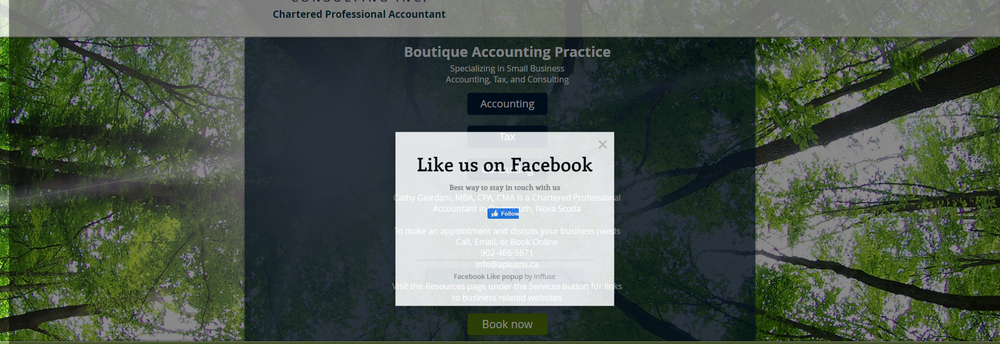 Accounting Plus Consulting Inc. cover