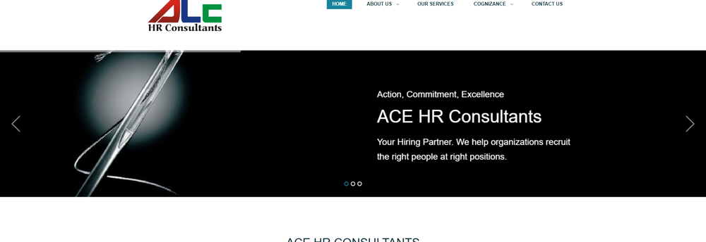 ACE HR Consultants cover