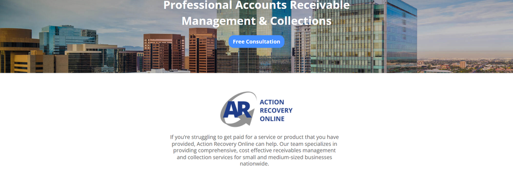 Action Recovery Online cover