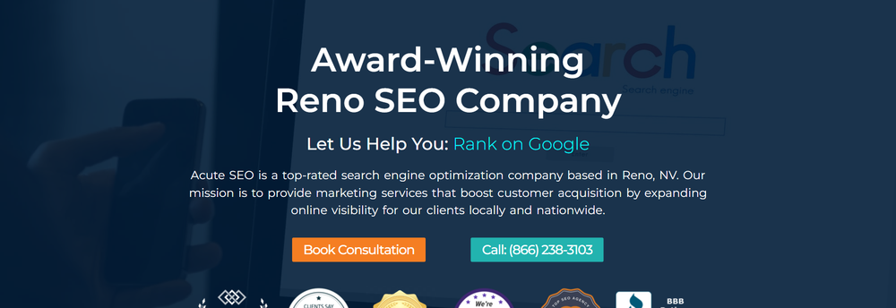 Acute SEO cover