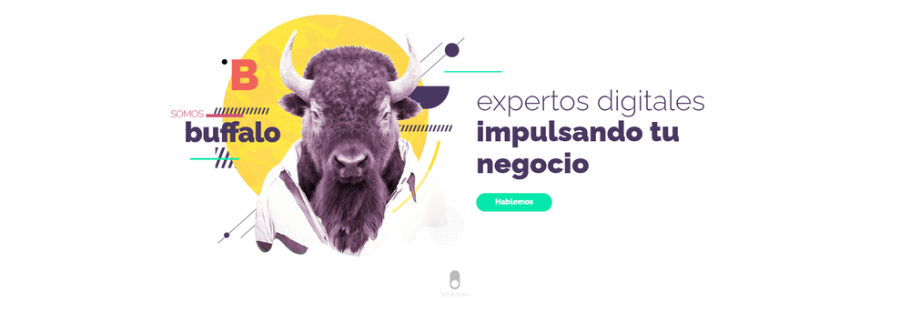 Agencia Buffalo cover