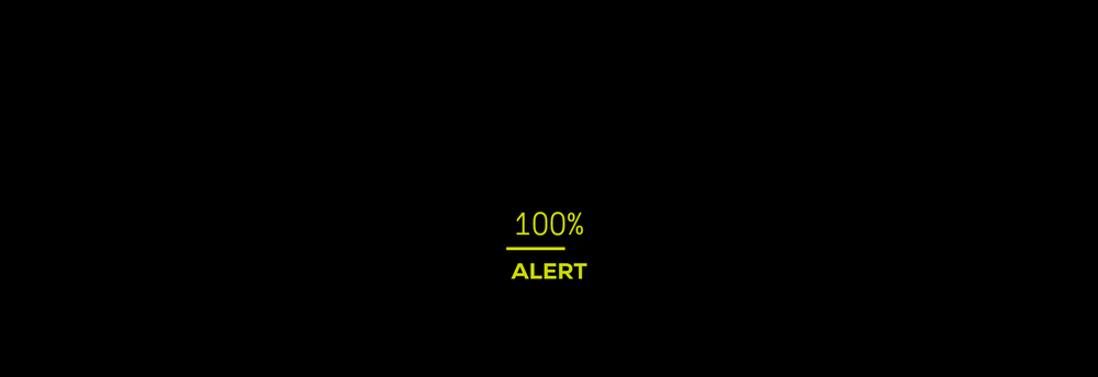 ALERT cover