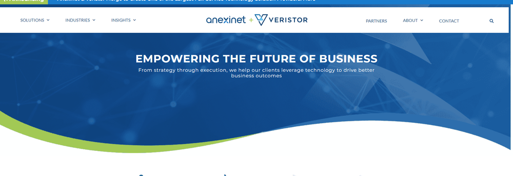 Anexinet cover