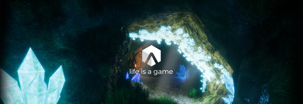 Animvs Game Studio cover