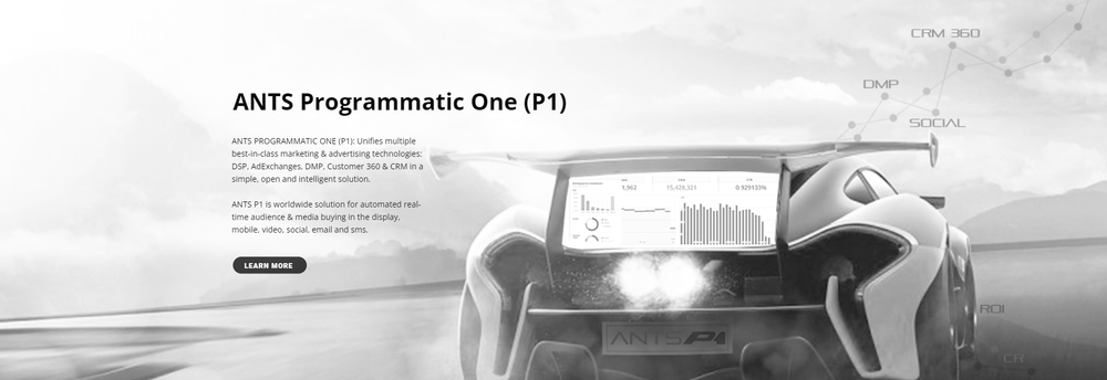 ANTS Programmatic cover