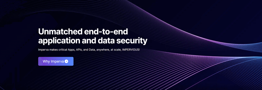 API Security cover