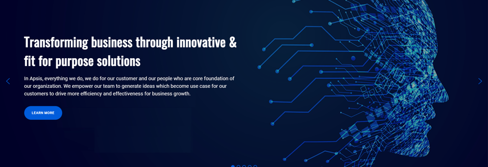 APSIS SOLUTIONS LTD. cover