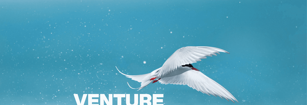 ArcTern Ventures cover