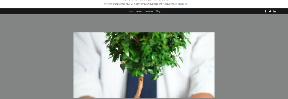 Avenaut Consulting cover