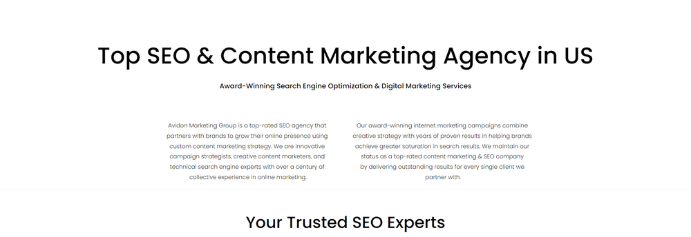 Avidon Marketing Group cover