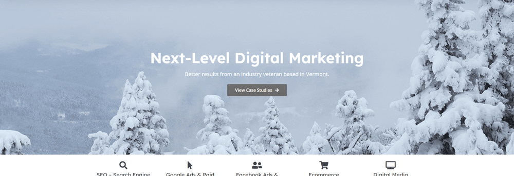Berriman Web Marketing cover