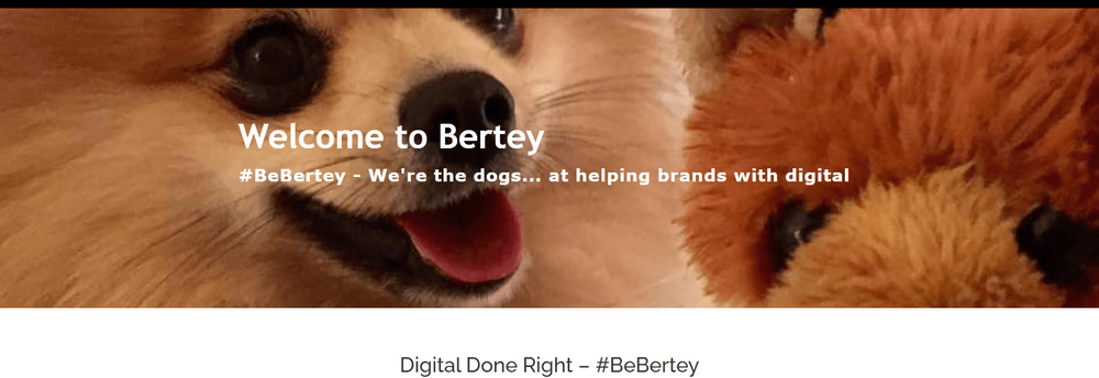 Bertey Ltd cover