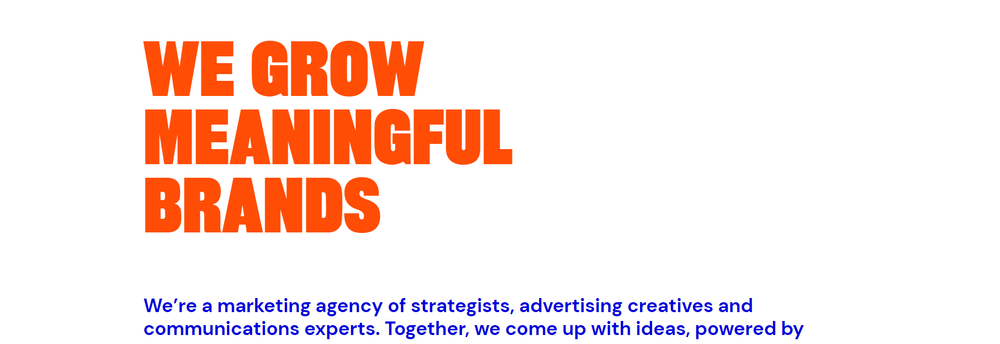 Big Cat Agency cover