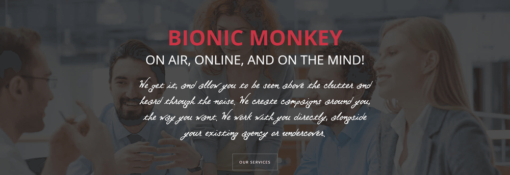 Bionic Monkey LLC cover