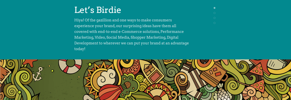 Birdie Communications cover