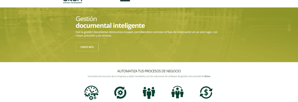 BITON CONSULTORES cover