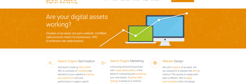 Bitvero Digital Marketing cover