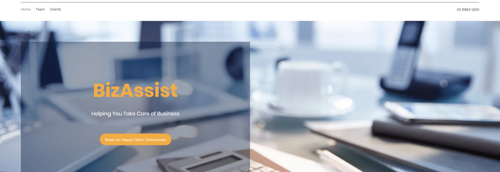 BizAssist cover