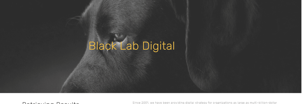 Black Lab Digital, LLC cover