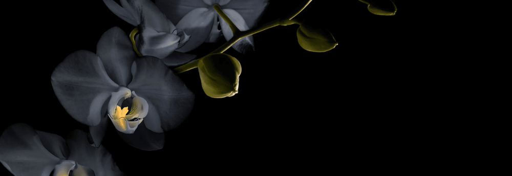 Blackbit digital Commerce GmbH cover