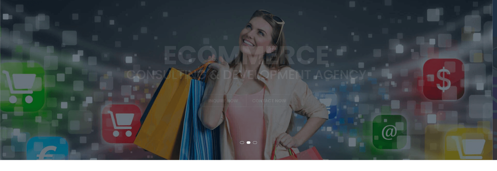 Bliss Web Solution Pvt. Ltd. cover