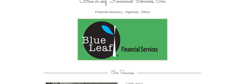 Blue Leaf Financial Services, Inc. cover