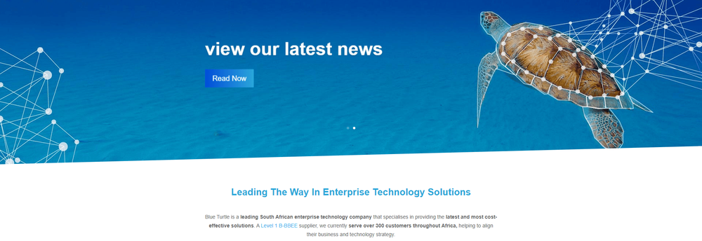 Blue Turtle Technologies cover