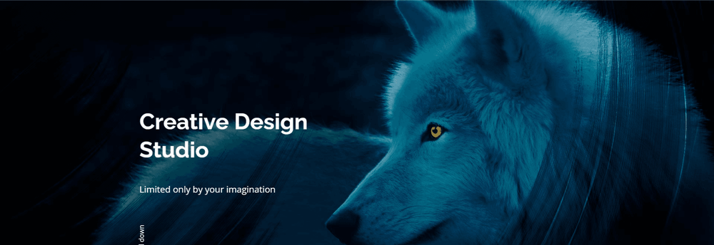 Blue Wolf Design Group cover