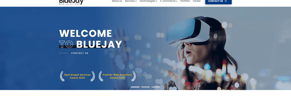 BlueJay Web Solutions cover
