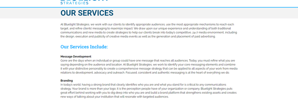 Bluelight Strategies cover
