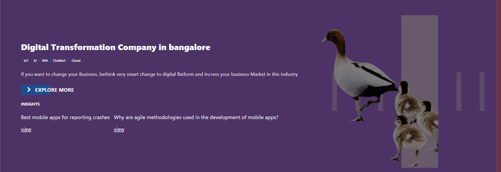 Bluelook:Web & mobile app development cover