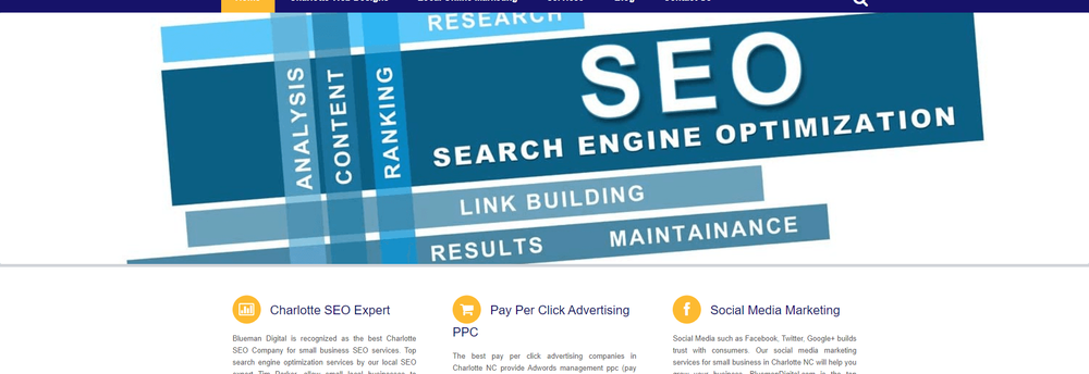 Blueman Digital cover