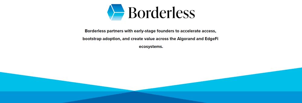 Borderless Capital cover