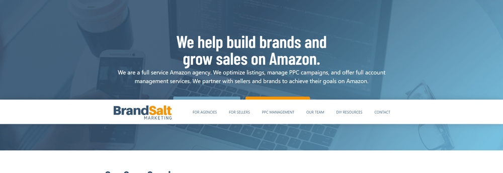 Brand Salt Marketing cover