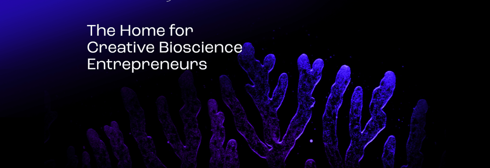 Breakout Ventures cover