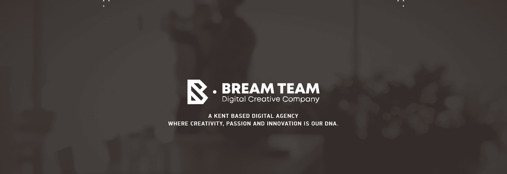 Bream Team Ltd cover