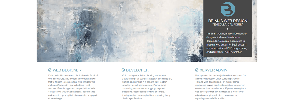Brian's Web Design cover