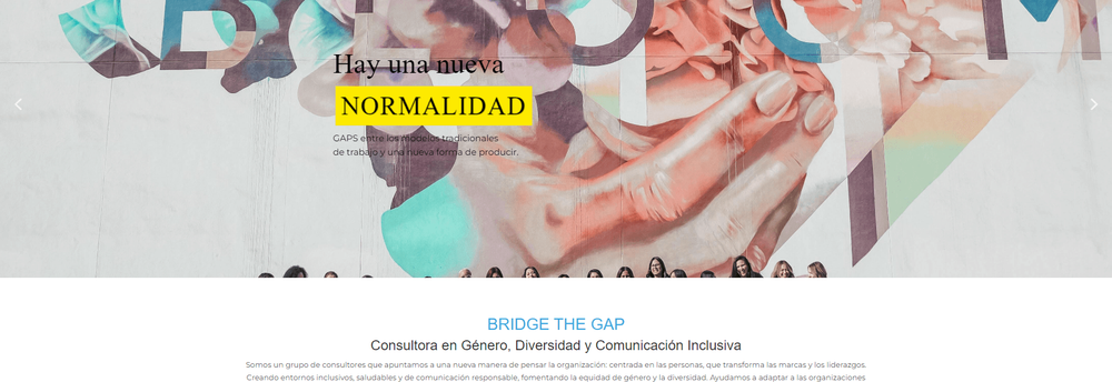 Bridge The Gap Consultores cover