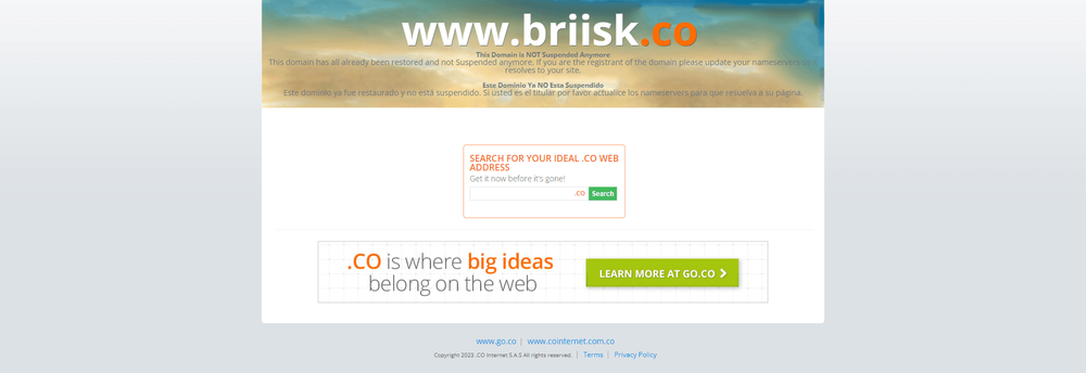 Briisk - Out of Business cover
