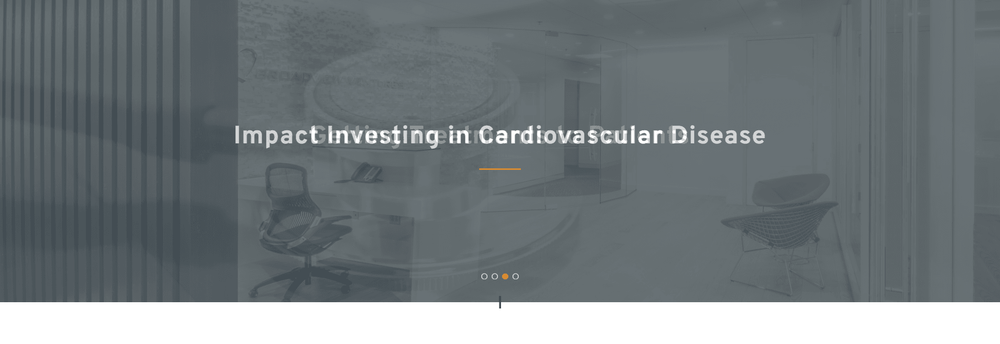 Broadview Ventures cover
