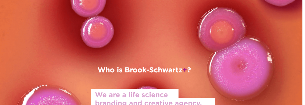 Brook-Schwartz+ cover