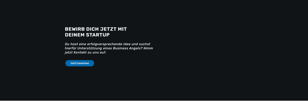 Business Angels Fondsgesellschaft cover