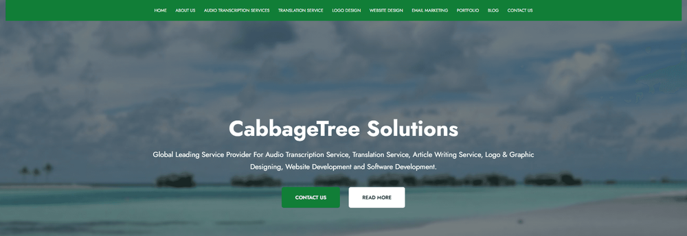 Cabbage Tree Solutions cover